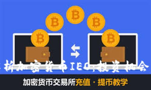 全面解析加密货币IEO：投资机会与风险