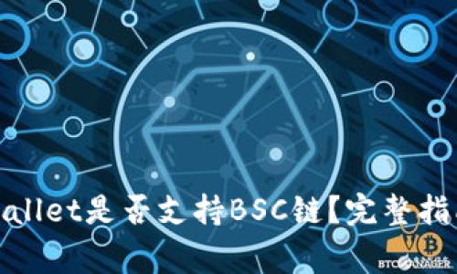 bianzi电脑版TPWallet是否支持BSC链？完整指南与常见问题解答