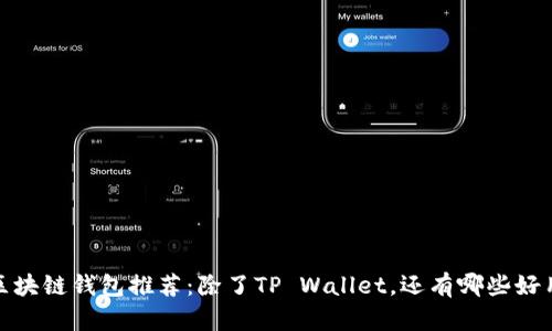 2023年最佳区块链钱包推荐：除了TP Wallet，还有哪些好用不卡的选择？