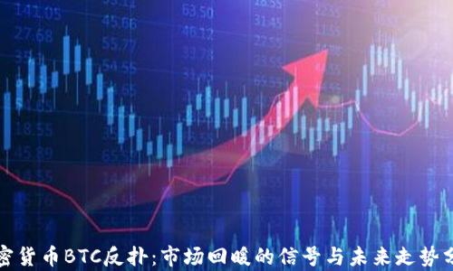 
加密货币BTC反扑：市场回暖的信号与未来走势分析