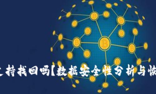  tpwallet支持找回吗？数据安全性分析与恢复方法详解
