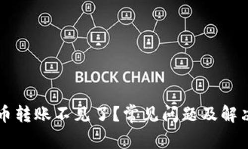 TPWallet币转账不见了？常见问题及解决方案详解