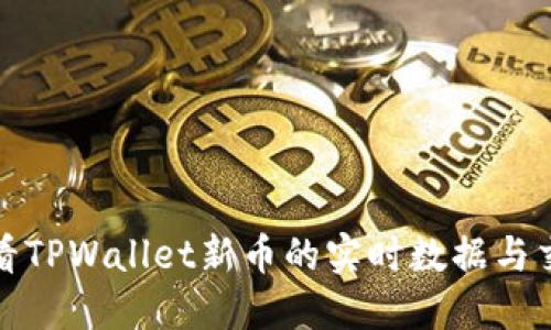如何查看TPWallet新币的实时数据与交易动态