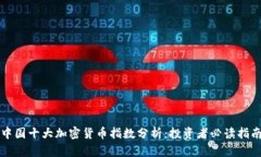 中国十大加密货币指数分析：投资者必读指南