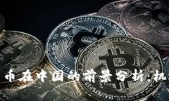 : 加密货币在中国的前景分