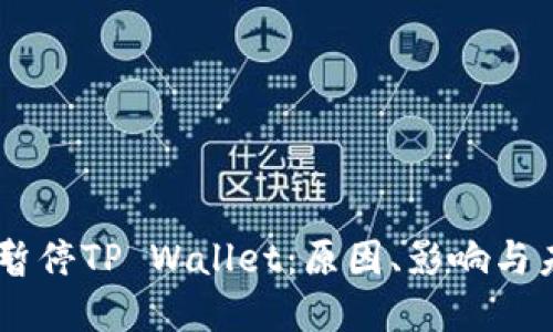 币安链暂停TP Wallet：原因、影响与未来展望