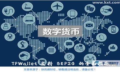 TPWallet 支持 BEP20 的全面指南