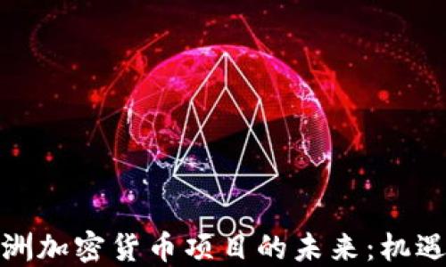 
探索欧洲加密货币项目的未来：机遇与挑战