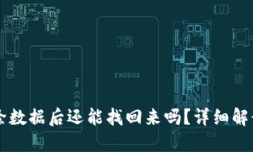 TPWallet删除数据后还能找回来吗？详细解读与解决方案