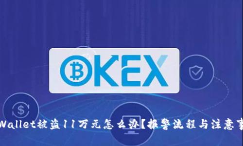 TPWallet被盗11万元怎么办？报警流程与注意事项