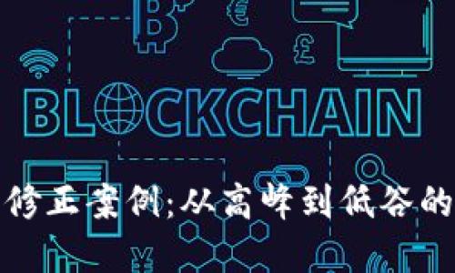 加密货币修正案例：从高峰到低谷的深刻反思