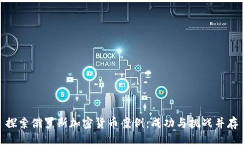 探索俄罗斯加密货币案例：成功与挑战并存