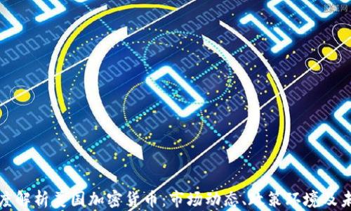 
一文深度解析美国加密货币：市场动态、政策环境及未来趋势