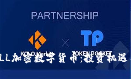 深入解析FLL加密数字货币：投资机遇与风险并存