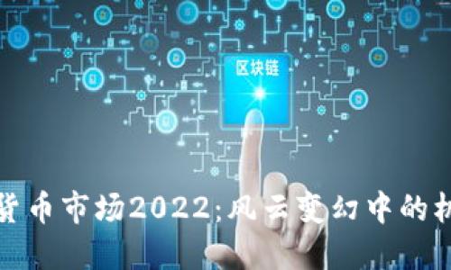 全球加密货币市场2022：风云变幻中的机遇与挑战