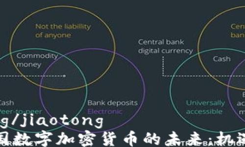 
jiaotong/jiaotong
探秘泰国数字加密货币的未来：机遇与挑战