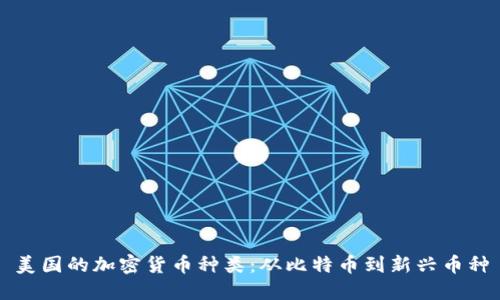 美国的加密货币种类：从比特币到新兴币种