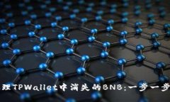 如何处理TPWallet中消失的BNB：一步一步的指南