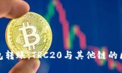 探索TP钱包转账：TRC20与其他链的区别与优势