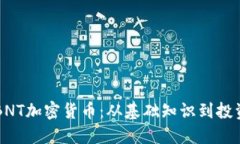 了解BNT加密货币：从基础知识到投资策略