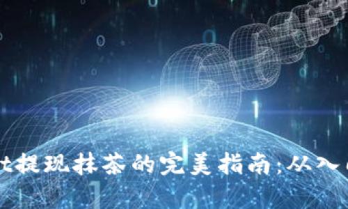 tpwallet提现抹茶的完美指南：从入门到高手