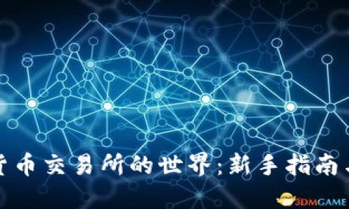探索加密货币交易所的世界：新手指南与市场动态