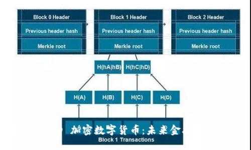 探索 MSD 加密数字货币：未来金融的颠覆者