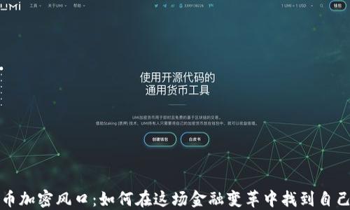 
数字货币加密风口：如何在这场金融变革中找到自己的位置