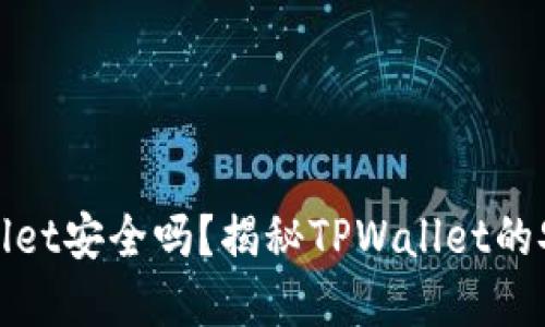 把币放在TPWallet安全吗？揭秘TPWallet的安全性与可靠性