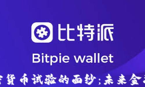 
揭开美国加密货币试验的面纱：未来金融的变革之路