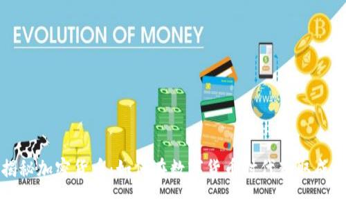 揭秘加密货币：如何在数字货币时代获取成功