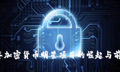 2023年加密货币明星项目的崛起与前景分析