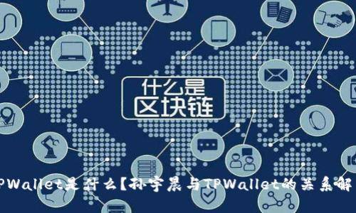 TPWallet是什么？孙宇晨与TPWallet的关系解析