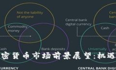 拉美加密货币市场前景展望：机遇与挑战