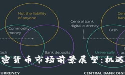 拉美加密货币市场前景展望：机遇与挑战