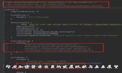 印度加密货币交易的发展现状与未来展望