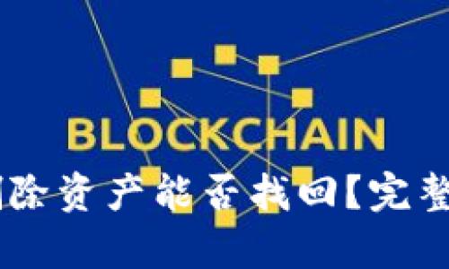 TPWallet App删除资产能否找回？完整指南与解决方案