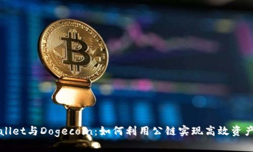 TPWallet与Dogecoin：如何利用公链实现高效资产管理