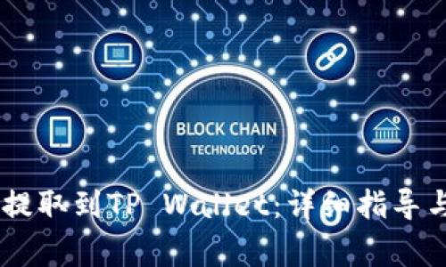 如何将SHIB币提取到TP Wallet：详细指导与常见问题解答