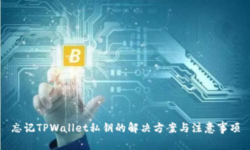 忘记TPWallet私钥的解决方案与注意事项